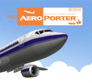 Aero Porter per Nintendo 3DS