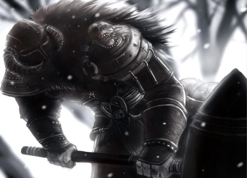 Immagine di Software House