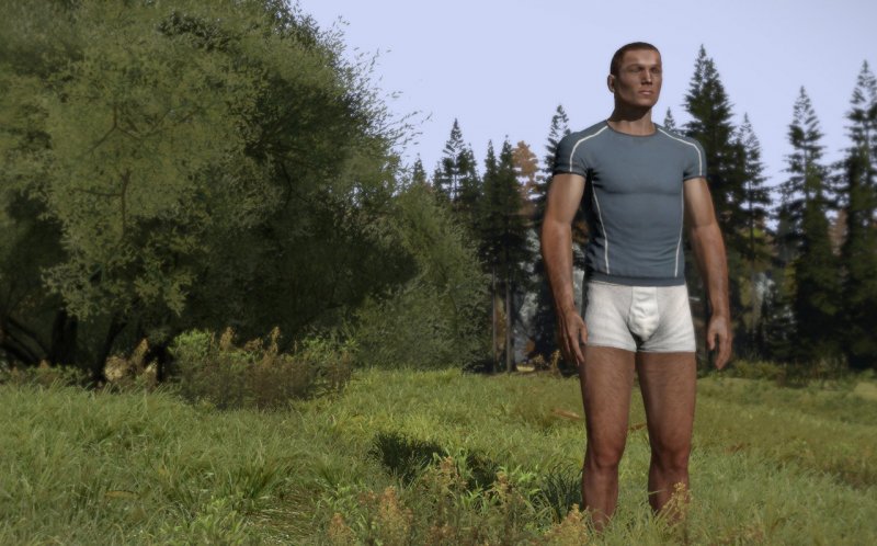 Immagine di DayZ per PC Windows