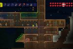 Maggiori dettagli per la versione console di Terraria - Notizia
