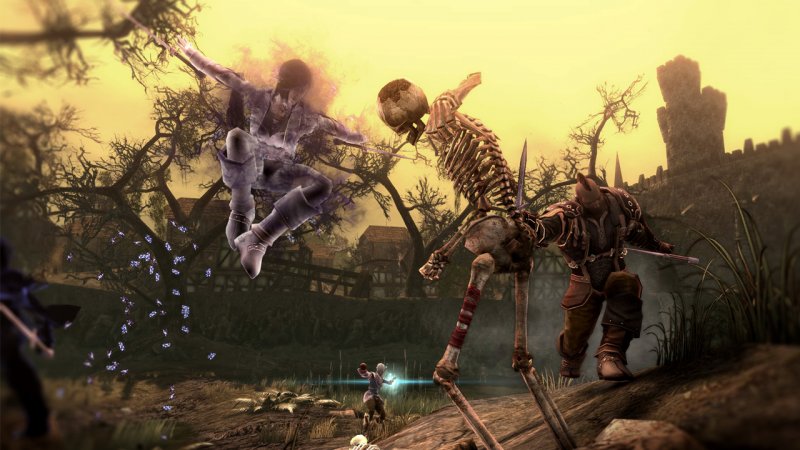 Immagine di Neverwinter per PC Windows