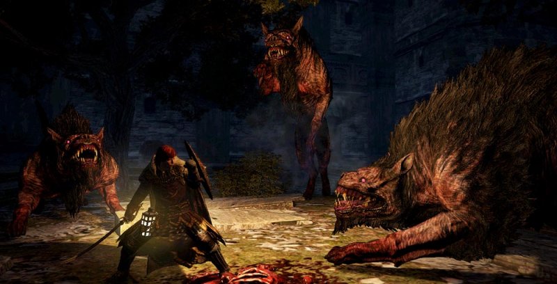 Immagine di Dragon's Dogma: Dark Arisen per PlayStation 3