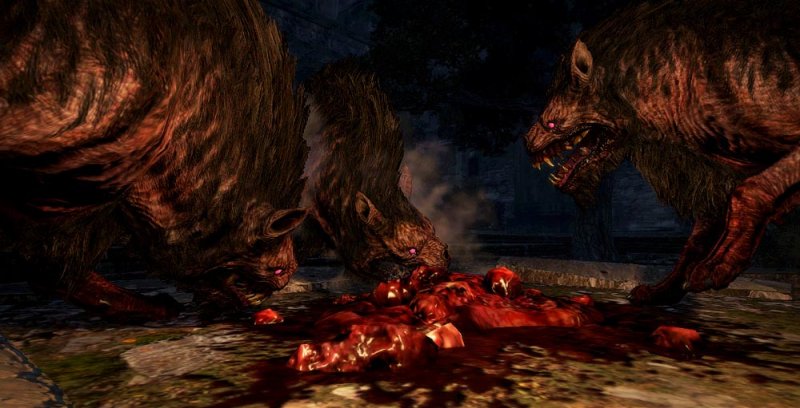 Immagine di Dragon's Dogma: Dark Arisen per PlayStation 3