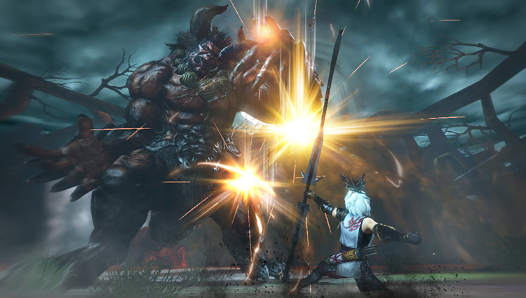 Immagine di Toukiden: The Age of Demons per PlayStation Portable