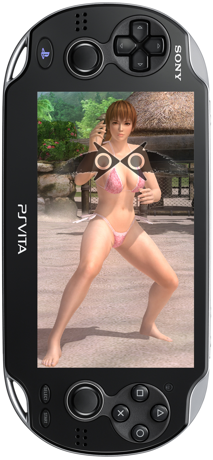 Immagine di Dead or Alive 5 Plus per PlayStation Vita