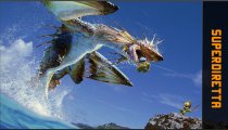 Monster Hunter 3 Ultimate - Superdiretta del 14 marzo 2013