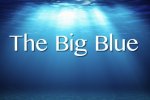 The Big Blue - Il nuovo 'Ecco' non ce la fa su Kickstarter, ma non è finita - Notizia