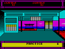 Budokan: The Martial Spirit per Sinclair ZX Spectrum
