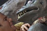 Il Capitano Kirk contro il Gorn 40 anni dopo per Star Trek: Il Videogioco - Notizia