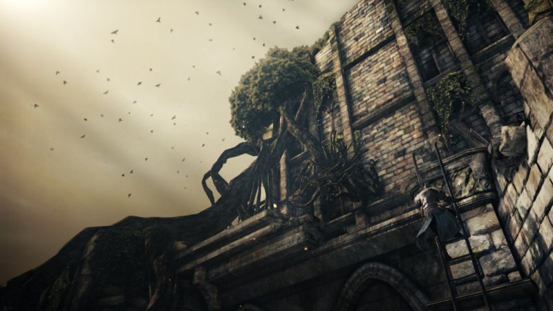 Immagine di Dark Souls II per PlayStation 3