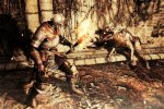 Disegnate uno scudo per Dark Souls II - Notizia