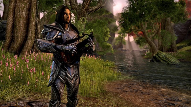 Immagine di The Elder Scrolls Online per PC Windows