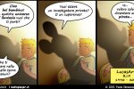 Volevo diventare un pirata - Rubrica