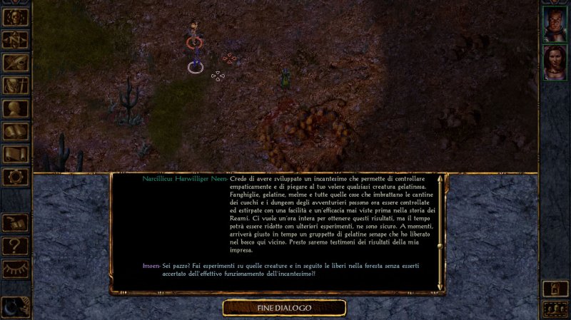 Baldur's Gate: Enhanced Edition