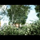 CryEngine 3 - Demo Enodo