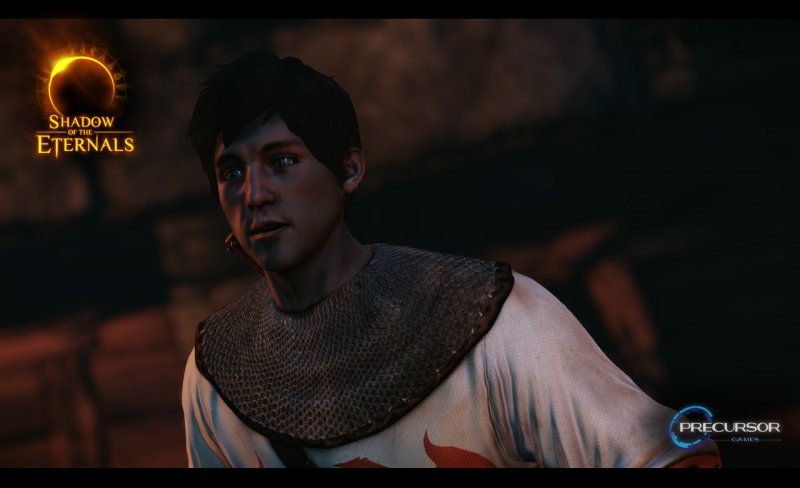 Immagine di Shadow of the Eternals per Nintendo Wii U