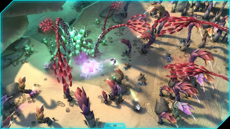 Gli Spartan tornano a casa