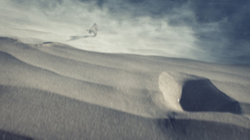 Immagine di Halo 5: Guardians  per Xbox One