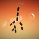 Un teaser trailer per le versioni PlayStation di Splice