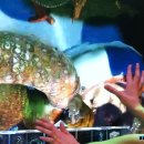 Project Spark - Videoanteprima E3 2013