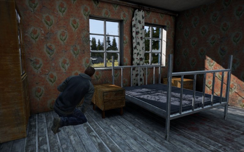 Immagine di DayZ per PC Windows