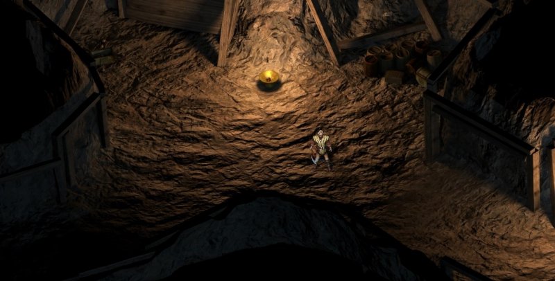 Immagine di Pillars of Eternity per PC Windows