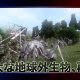 Earth Defense Force 2025 - Un lungo filmato di gameplay (in giapponese)