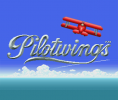 Pilotwings per Nintendo Wii