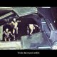 The Bureau: XCOM Declassified - Trailer di lancio