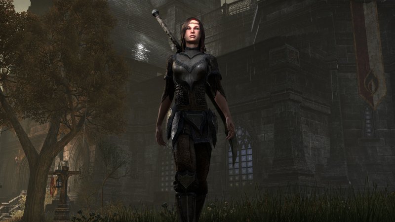 In The Elder Scrolls Online saranno presenti anche le microtransazioni