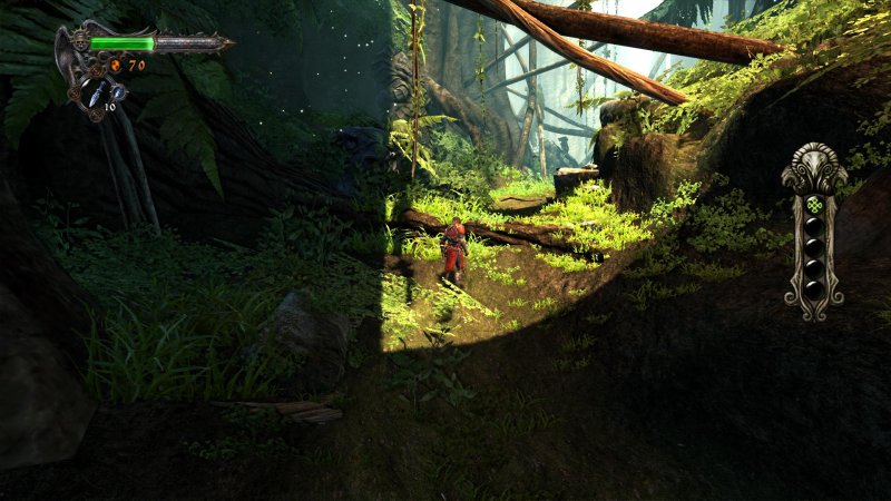 Immagine di Castlevania: Lords of Shadow - Ultimate Edition per PC Windows