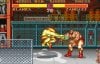 Street Fighter II: The World Warrior