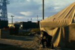 Metal Gear Solid V - Video su una nuova demo 'diurna' - Notizia