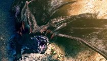Monster Hunter 4 - Videoanteprima TGS 2013