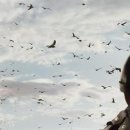 La serie di Battlefield in promozione su Origin