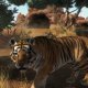 Zoo Tycoon - Raggiunto il primo obiettivo della Community: 10.000 dollari al programma per la protezione della tigre di Sumatra