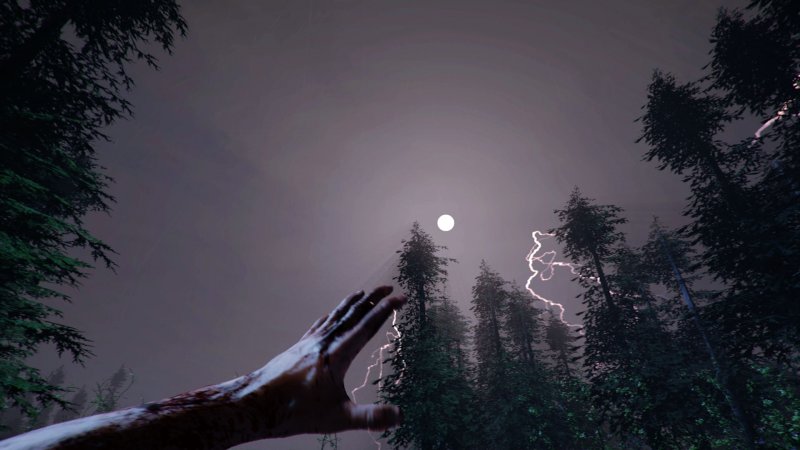 Immagine di The Forest per PC Windows