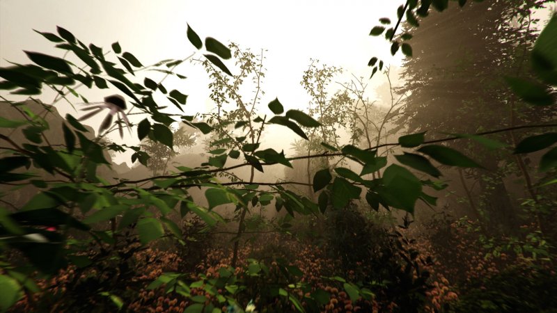 Immagine di The Forest per PC Windows