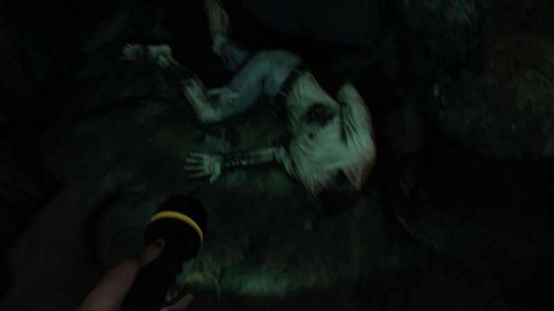 Immagine di The Forest per PC Windows