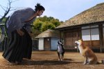 Yakuza Restoration - Immagini della modalità Another Life - Notizia