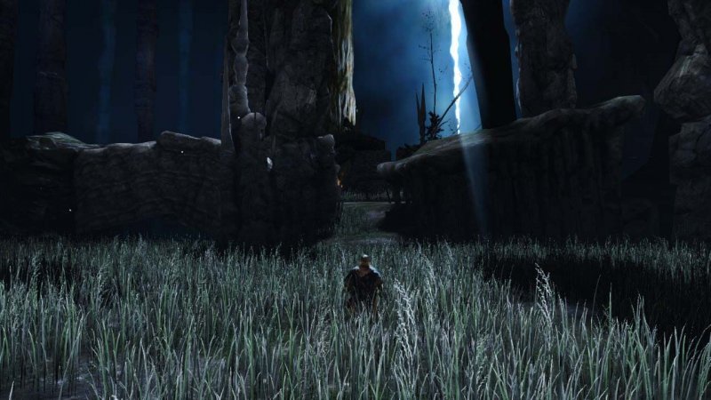 Immagine di Dark Souls II per PlayStation 3