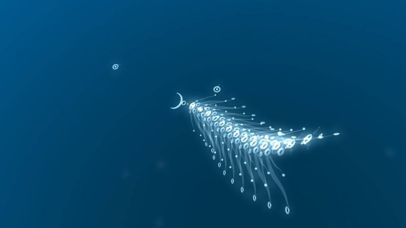 flOw, Flower e Woah Dave! offerti gratuitamente per gli iscritti PlayStation Plus flOw, Flower e Woah Dave! offerti gratuitamente per gli iscritti PlayStation Plus