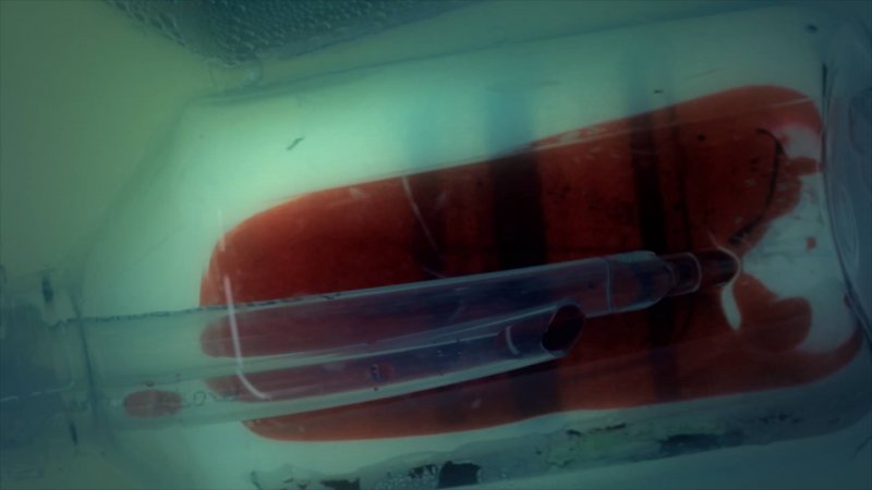 Immagine di Get Even per PC Windows