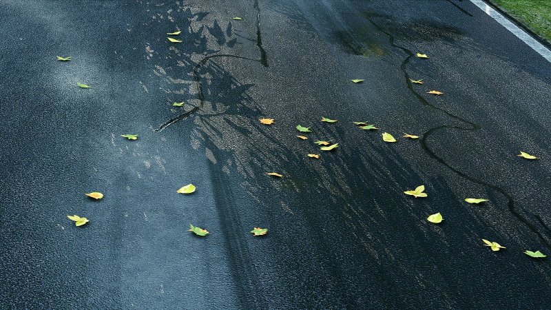 Immagine di Project CARS per PC Windows