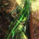 Dungeons & Dragons Neverwinter è in arrivo su Xbox One in Cina