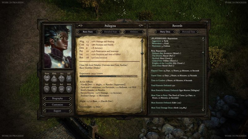Immagine di Pillars of Eternity per PC Windows