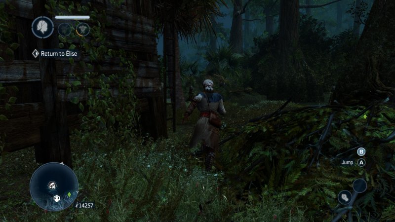 Assassin's Creed Liberation HD