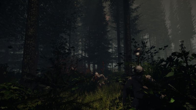 Immagine di The Forest per PC Windows