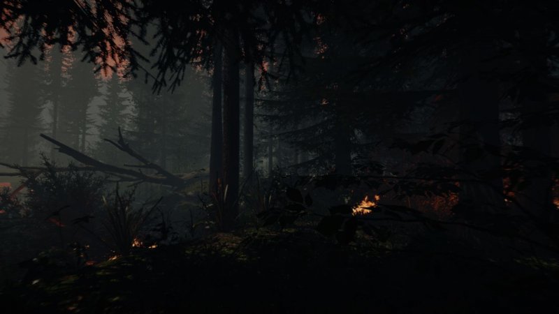 Immagine di The Forest per PC Windows