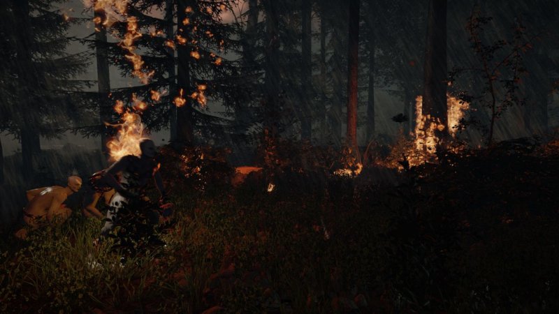 Immagine di The Forest per PC Windows